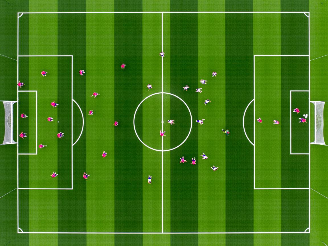 开云在线入口-北京鸭保持比赛强度连续制造得分高潮，北京鸭的功效与作用  第2张