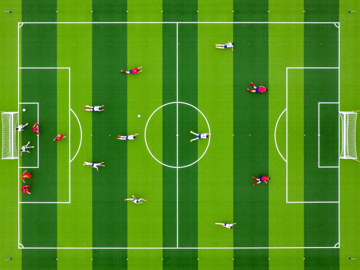 开云体育网站-四国蝶泳起跳角度数据首次对比，蝶泳跳水出发  第2张